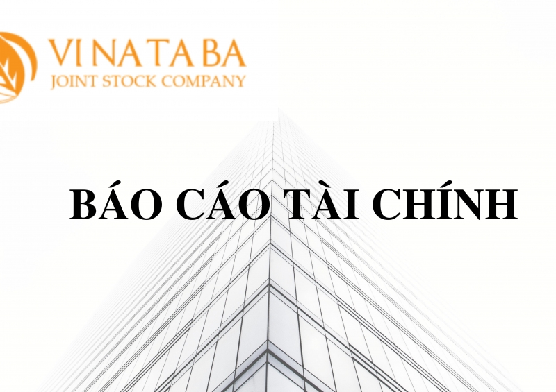 Báo cáo tài chính năm 2025 kiểm toán